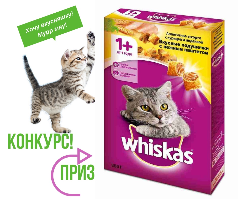 oShyvgUYFWA.jpg