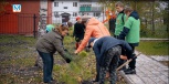 Деревья для детской больницы от "Золотого Полюса"