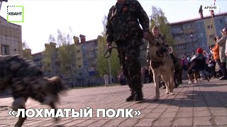 «Лохматый полк»