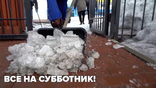 Все на субботник!