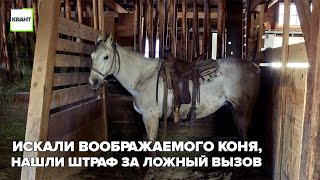 Искали воображаемого коня, нашли штраф за ложный вызов