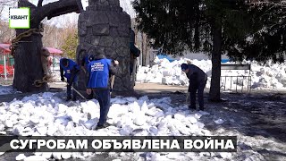 Сугробам объявлена война