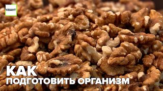 Как подготовить организм