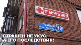 Страшен не укус, а его последствия!