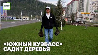 «Южный Кузбасс» садит деревья