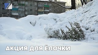 Акция для ёлочки