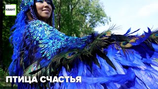 Птица счастья