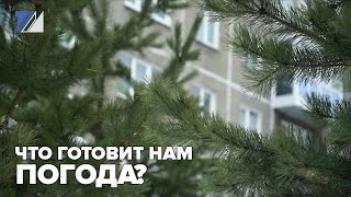 Что готовит нам погода?