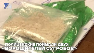 Полицейские поймали двух «ворошителей сугробов»