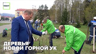 Деревья Новой Горной УК