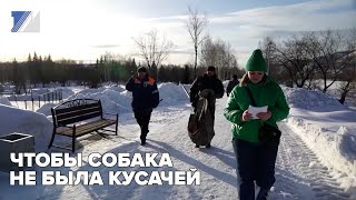 Чтобы собака не была кусачей